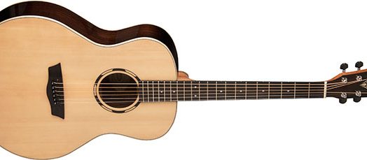 Washburn Woodline Series Acoustic Guitars