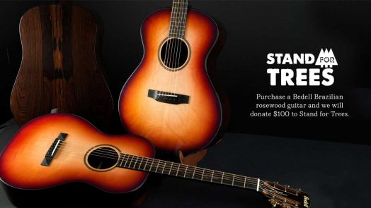 Bedell Guitars and Stand For Trees Protect Threatened Brazilian Rosewood Forest