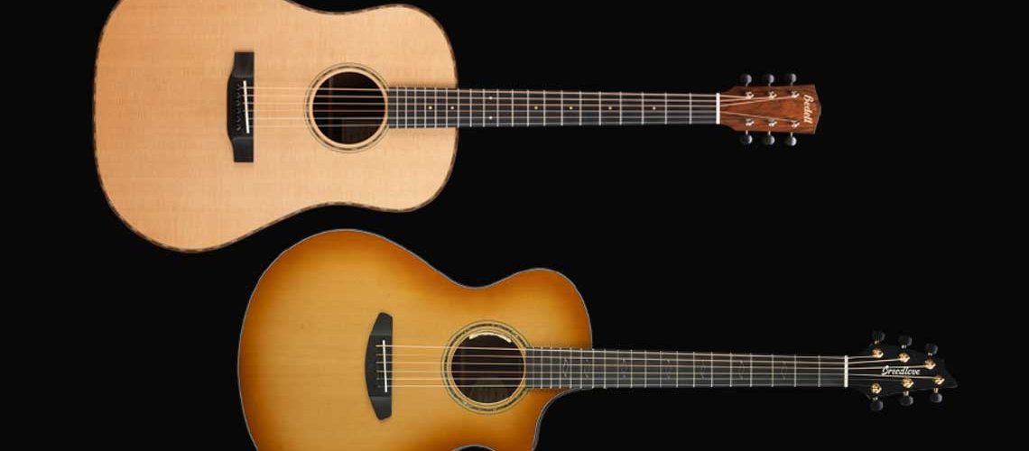 Breedlove Stringed Instruments and Bedell Guitars give guitars away to dealers at NAMM