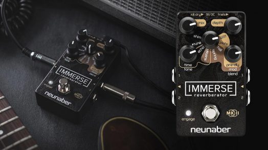 Neunaber Immerse Mk II Reverberator Pedal