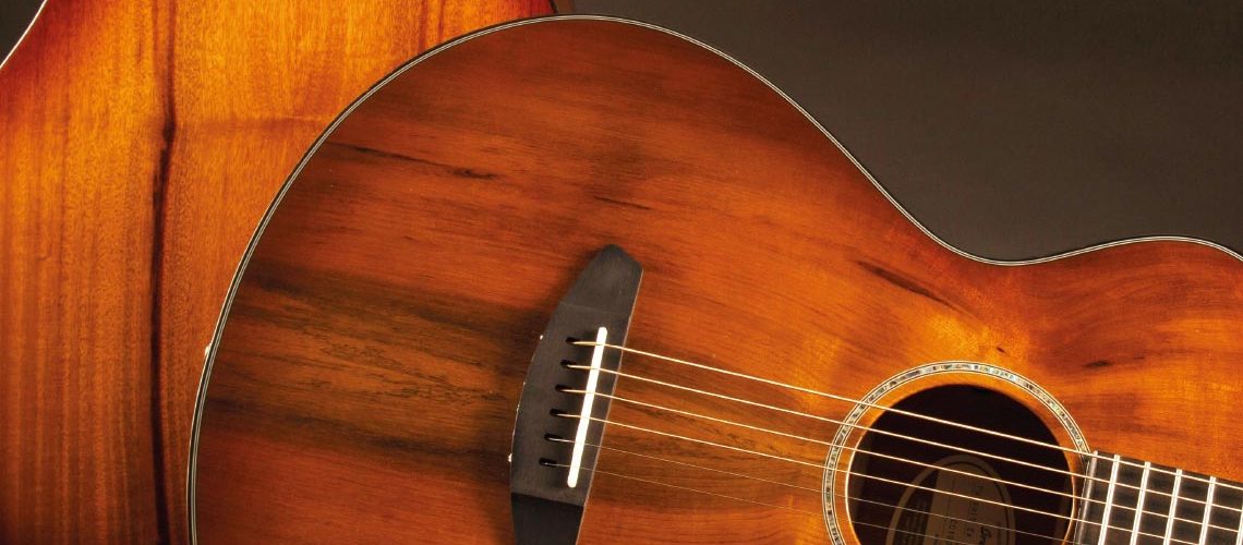 Breedlove Prairie Burst Acoustic Guitar