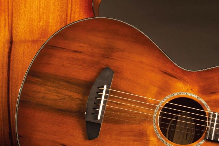 Breedlove Prairie Burst Acoustic Guitar