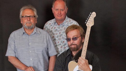 Some of the biggest names in rock and roll sign guitar for auction in aid of stroke victim Jerry Donahue