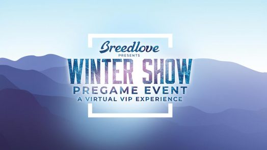Breedlove VIP Winter Show Pregame Event opens the doors, virtually, on Bend, Oregon Custom Shop, Jan. 11–12