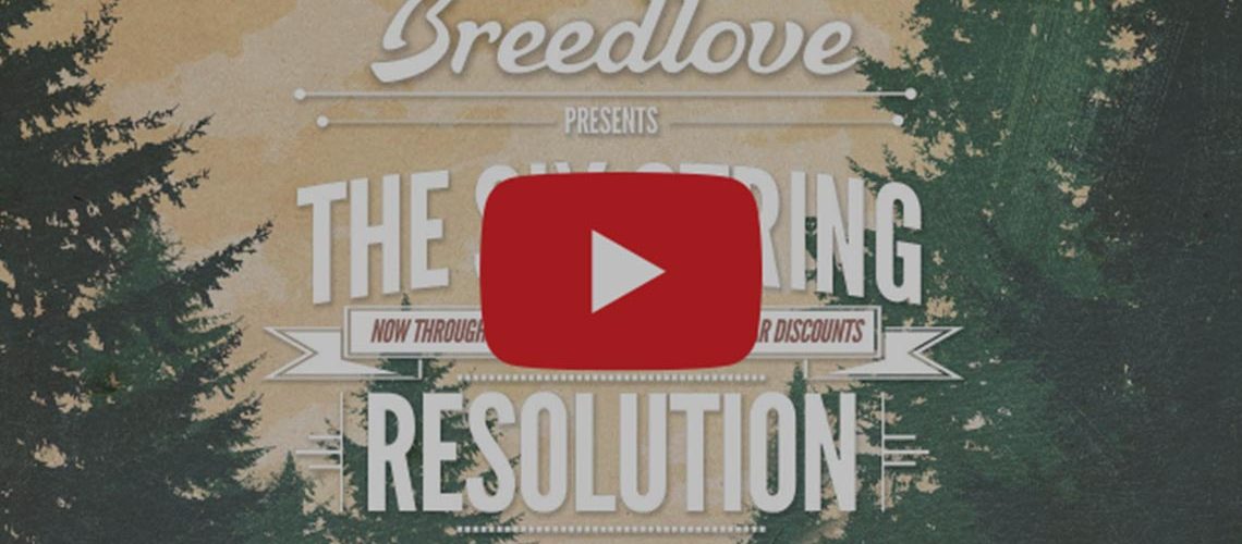 Breedlove announces Six String Resolution promotion