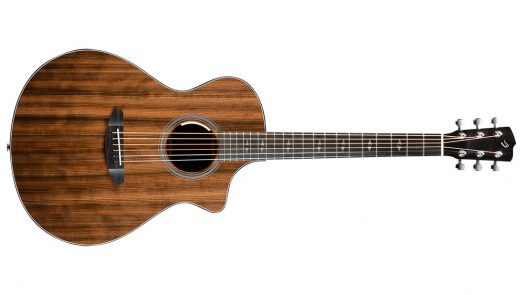 Breedlove Guitars 30th Anniversary Focus SE