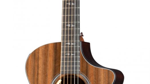Breedlove Guitars 30th Anniversary Focus SE