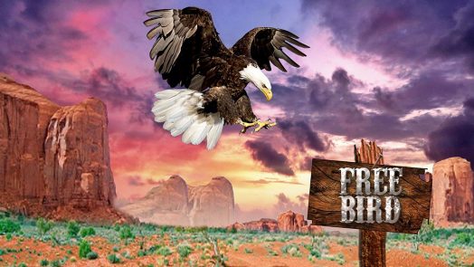 New ‘Free Bird’ Charity Single Mixed and Mastered by GRAMMY® Winner Emily Lazar