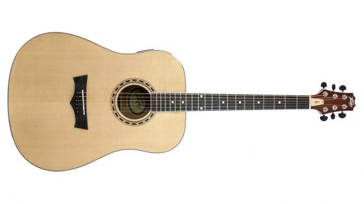 Peavey Delta Woods Series Acoustic Guitars