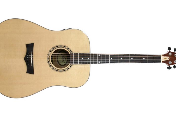 Peavey Delta Woods Series Acoustic Guitars