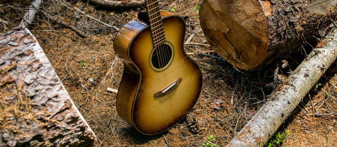 Can One Guitar Save a Forest and Lead to the World’s First Climate Refuge?