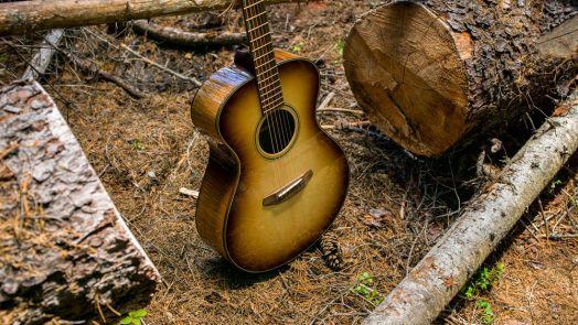 Can One Guitar Save a Forest and Lead to the World’s First Climate Refuge?